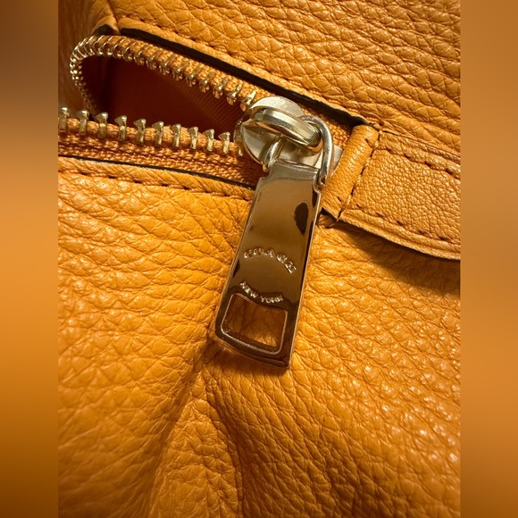 Upcrafted Coach black cat Pheobe Orange - Picture 6 of 15